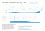 The Anatomy of the Rowing Stroke
